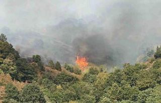 Düzce’de yangının çıkış nedeni araştırılıyor