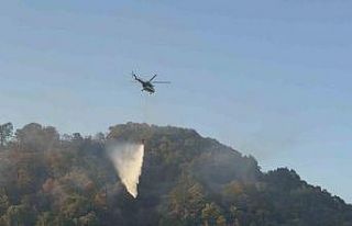 Düzce’deki orman yangını kısmen kontrol altına...