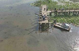 Efteni Gölü ahşap iskelesi yenileniyor