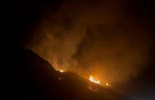 Elektrik tellerinden çıkan yangında ağaçlık...