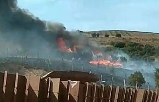 Erdek’te otluk ve ağaçlık alanda yangın