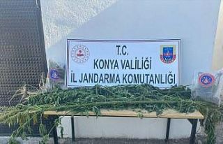 Ereğli’de uyuşturucu operasyonu