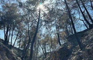 Evini yangından korumak için mücadele ederken kalp...