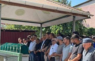 Fabrikada zehirlenerek hayatını kaybeden işçi...