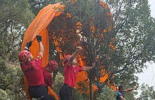 Fethiye’de ormanlık alana düşen paraşütçüleri...