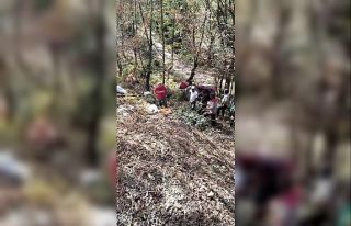 Fındık bahçesinden dönen traktör devrildi, sürücü...