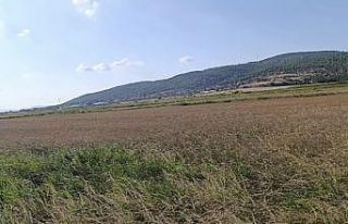 Gönen’de sulama krizi: Çiftçi saatlik suya mahkum