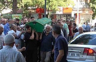 Görev başındayken otomobilin çarptığı güvenlik...