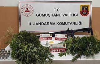 Gümüşhane’de kaçak alkol, kenevir ve ruhsatsız...