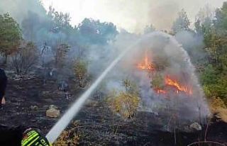 Hakkari’de 3 farklı bölgede çıkan yangın itfaiye...