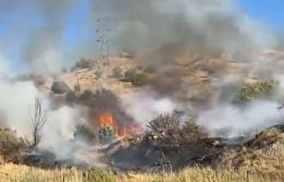 Hakkari’de anız yangını