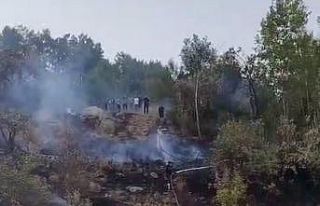 Hakkari’de ormanlık alanda yangın