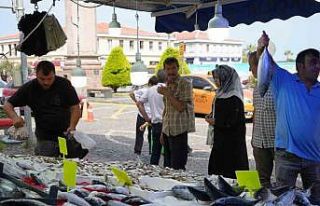 Hamsi için geri sayım başladı: Balıkçılar yolunu...