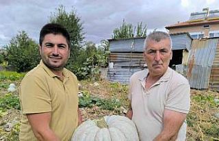 Hasadı başlayan balkabağı fiyatıyla yüzleri...