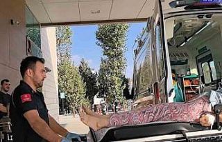 Hayvan çiftliğinde yangın çıktı: 1 kişi hastaneye...