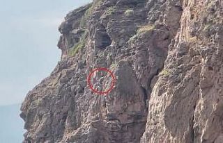 Herkes falezlerde mahsur kaldığını düşünürken...