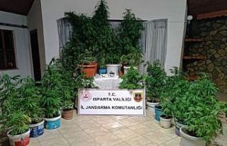 Isparta’da son bir ayda uyuşturucu operasyonlarında...