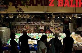 İstanbul’da balık sezonu hamsi ve istavrit bolluğuyla...