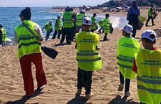 İsveç’te başlayan akım Karasu’ya ulaştı