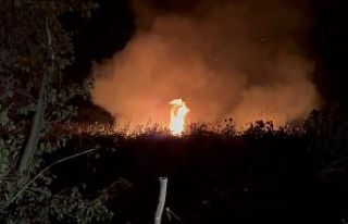 İznik’te korkutan yangın