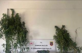 Jandarmadan iki ayrı uyuşturucu operasyonu: 3 gözaltı