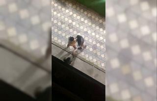 Kadınların saç başa birbirine girdiği kavgası...