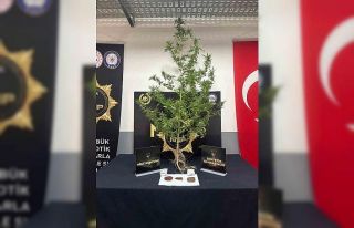 Karabük’te uyuşturucu operasyonu: 1 tutuklama