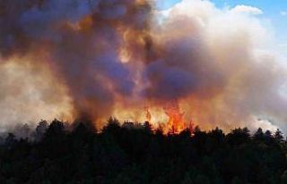 Karabük’teki yangın 48 saattir devam ediyor