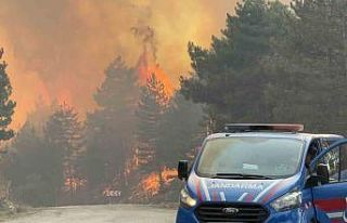 Karabük’teki yeni yangın rüzgarın etkisiyle...