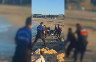Karaburun Sahili’nde deniz faciası: İsveçli kadın...