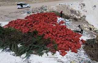 Karaman’da tonlarca soğan, boş araziye atılmış...