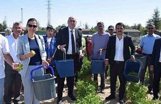 Karapınar’da "Doğayla El Ele Öğreniyorum,...