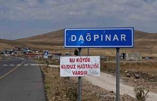 Kars’ta kuduz vakası: Bir belde karantinaya alındı