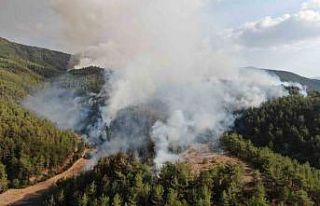 Kastamonu-Karabük sınırında ikinci orman yangını:...