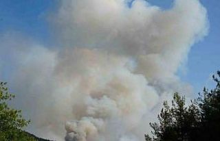 Kastamonu Valiliği’nden açıklama: Yangın sebebiyle...