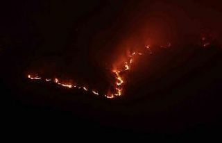 Kastamonu’da orman yangınıyla mücadele sürüyor:...