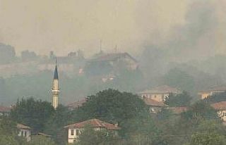 Kastamonu’daki orman yangını köye ulaştı