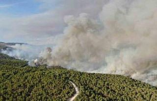 Kastamonu’daki orman yangını sürüyor: Kuvvetli...