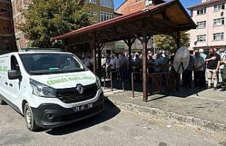 Kazada hayatını kaybeden gurbetçi memleketinde...