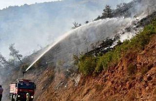 Kepsut yangını kontrol altında