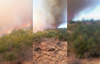 Kepsut’ta orman yangını başladı