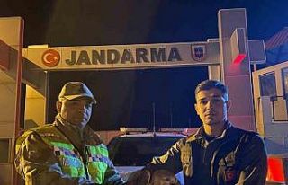 Kızıl şahin emin ellerde