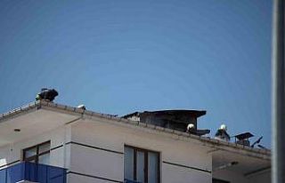 Konya’da 5 katlı apartmanda yangın paniği