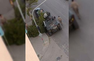 Kovancılarda ağaç dalları kırıldı