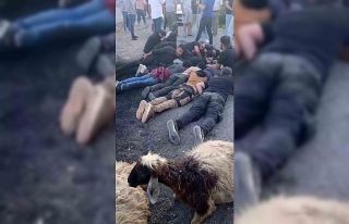 Koyun sürüsüne çarpan insan kaçakçısı, aracı...