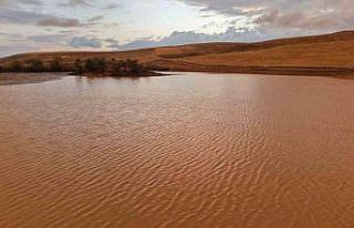 Kuruyan gölet sağanak yağışla yeniden doldu:...