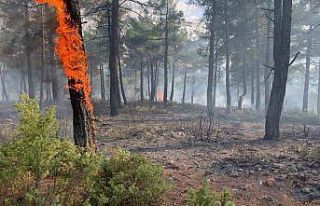Kütahya’da yıldırım, orman yangınına neden...