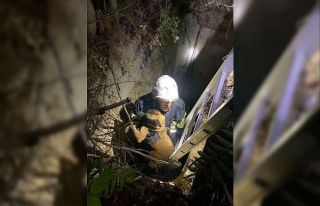 Kuyuya düşen köpeği itfaiye kurtardı