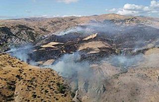 Makilik alanda çıkan yangın rüzgarın etkisiyle...