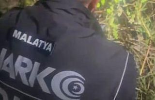 Malatya’da zehir tacirlerine büyük darbe: 38 tutuklama